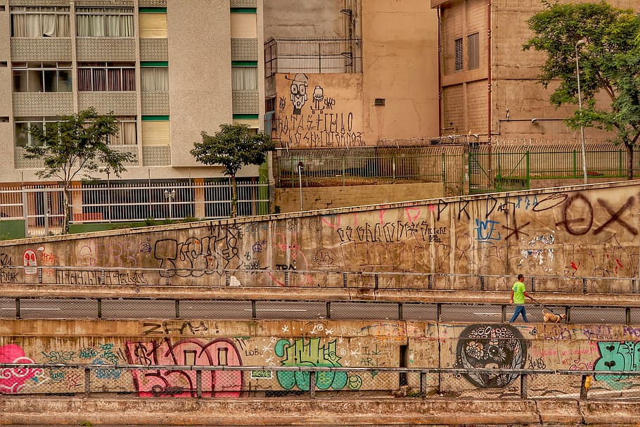 grafiti, coklat, dinding, jalan, seni, warna, orang, manusia, berjalan, anjing