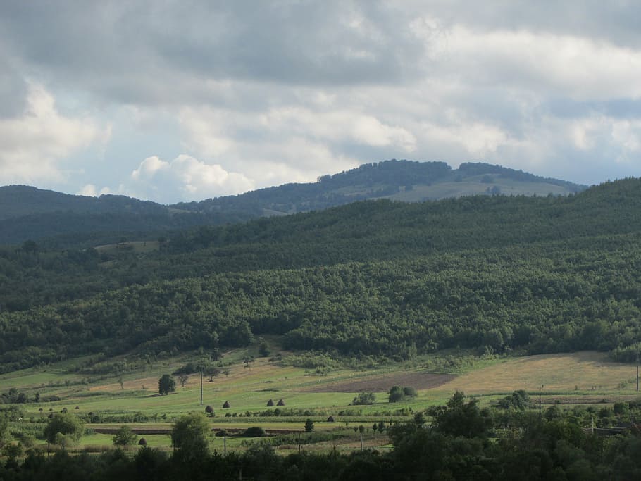 montañas, bosque de moma, paisaje, bihor, crisana, rumania, nube - cielo, medio ambiente, montaña, cielo