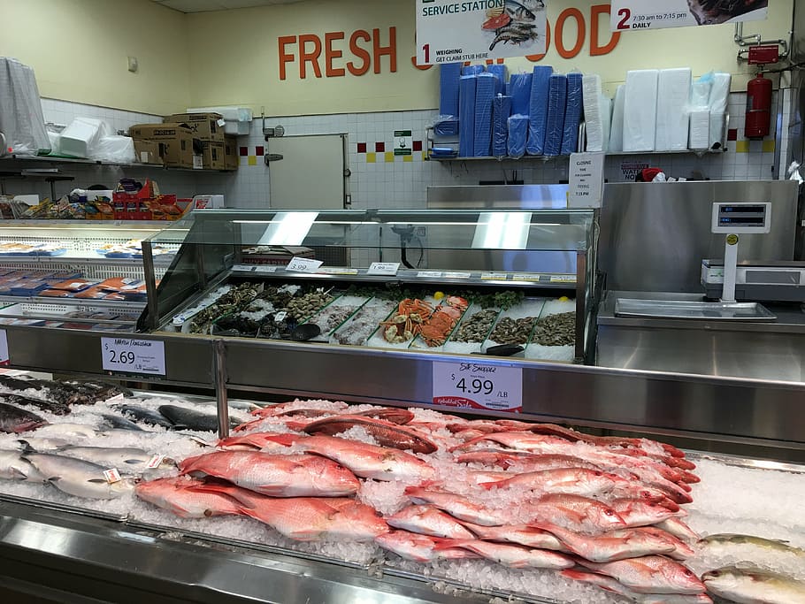 mercado de pescado, pescado, mariscos, crudo, frescura, frío, precio, pila, mercado, fresco