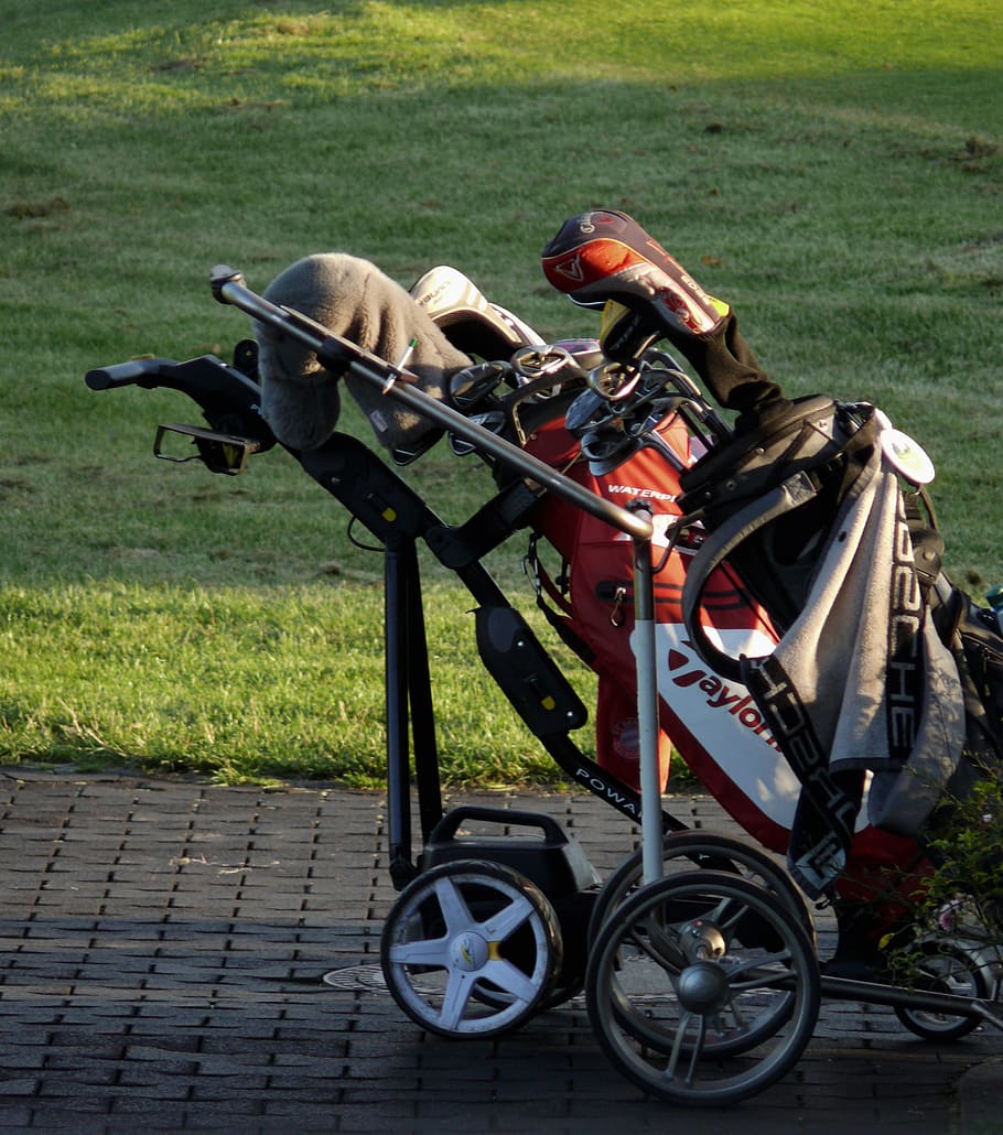 golf, caddy, tee, golf carts, golf clubs, golfer, green, bat, dare, golf club
