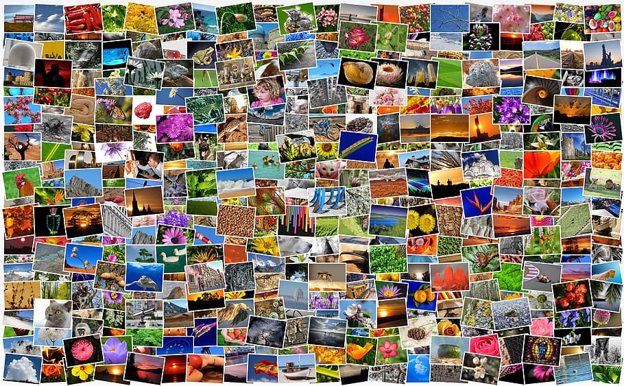 canvas photo lot, images, photos, photo collection, photo album, mosaic, collage, recordings, diversity, many