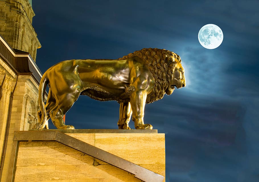 gold lion statue photography, full, moon, darmstadt, hesse, germany, landesmuseum, hessisches landesmuseum, night, night photograph
