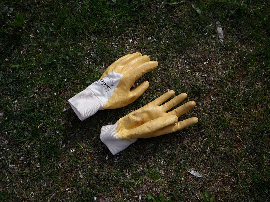 yellow-and-white gloves, Gloves, Gardening, Garden, Glove, gardening gloves, clothing, protection, work gloves, work
