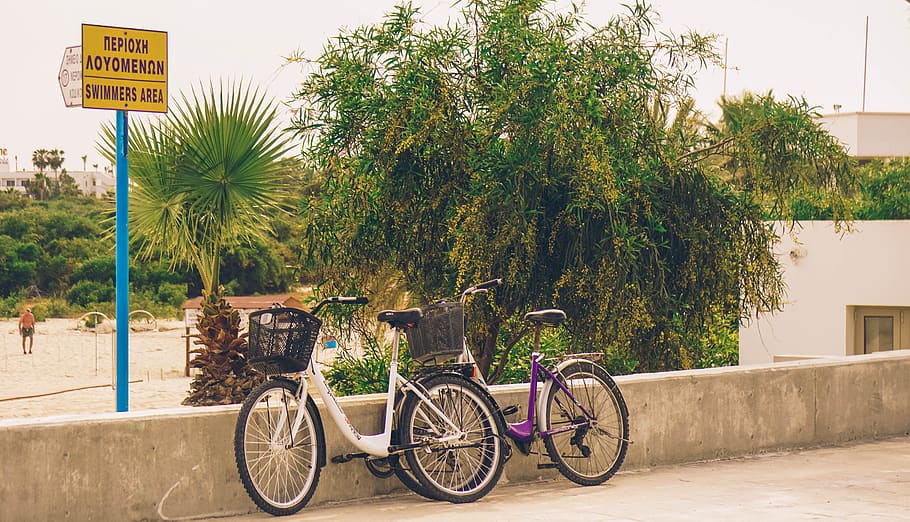 bicycles, cyprus, bush, tree, landscape, nature, rest, sports, entertainment, cycling