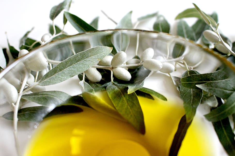 closeup, bunch, oval, white, fruit, glass bowl, olive, olive oil, olive leaf, plant