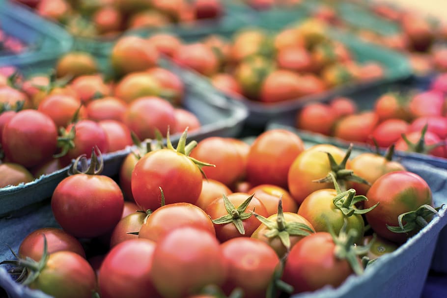 bunch of tomatoes, tomato, healthy, health, produce, grocery, farm, table, market, trade