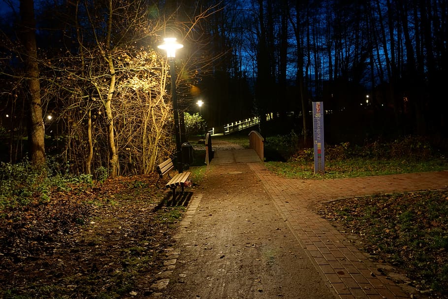 At Night, In The Park, Harsefeld, lower saxony, tree, nature, outdoors, forest, footpath, night