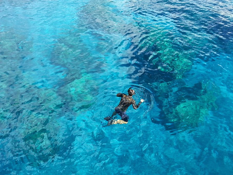 persona snorkeling, snorkeling, agua, océano, vacaciones, natación, turquesa, aventura, arrecife, al aire libre