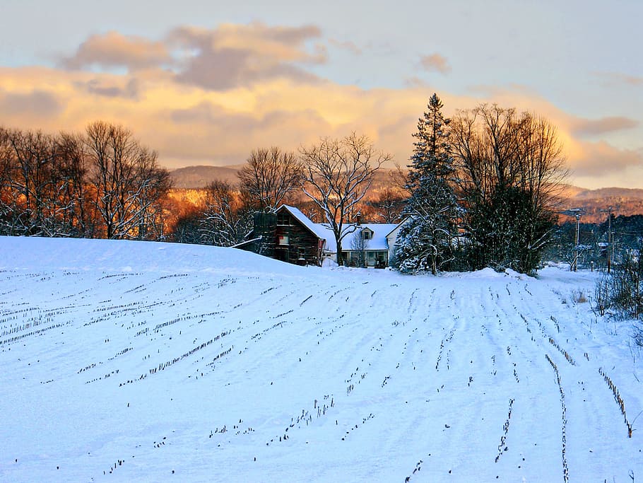 snow field, dawn, Vermont, Farm, Landscape, vermont farm, nature, scenic, barn, sky