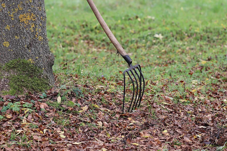 gardening equipment, rake, fork, hay fork, pitchfork, autumn, leaves, harken, gardening, faceplate