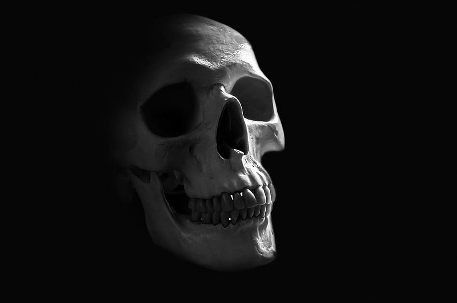 anatomy, background, body, bone, brain, cranium, creepy, dead, death, eyes