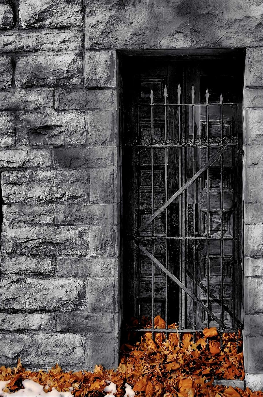Iron, Wrought, Wall, Artistic, Antique, old, door, mausoleum, leaves, leaf