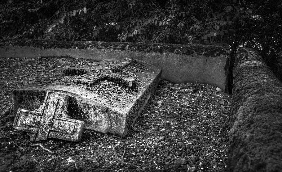 Graveyard, Graves, Tree, Spooky, Night, tombstones, cemetery, creepy, dark, death