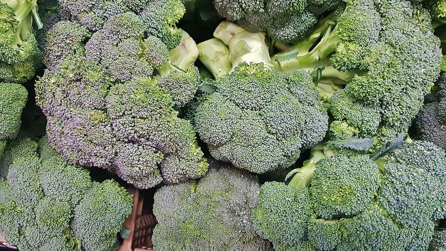 close-up photo, green, broccoli lot, broccoli, vegetables, greens, green vegetables, cabbage family, florets, nutrition
