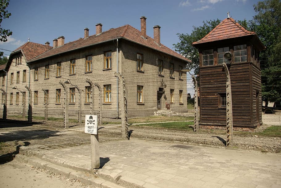 auschwitz-birkenau, concentration camp, nazism, crime, hitler, auschwitz, birkenau, concentration, camp, europe
