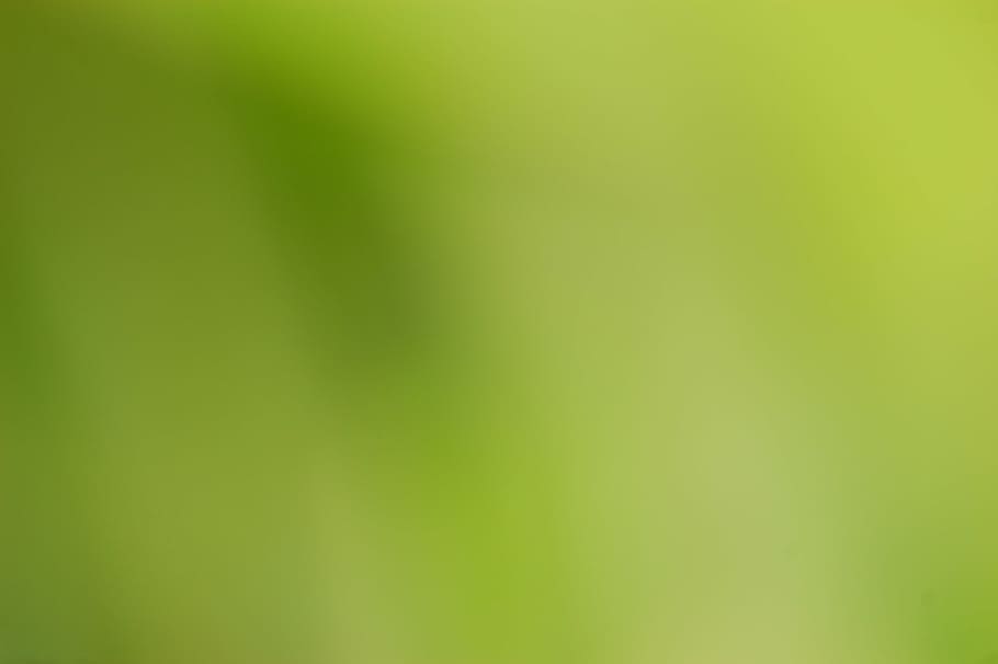 green, blur, background, blurred, color, colour, nature, backgrop, backgrounds, green Color