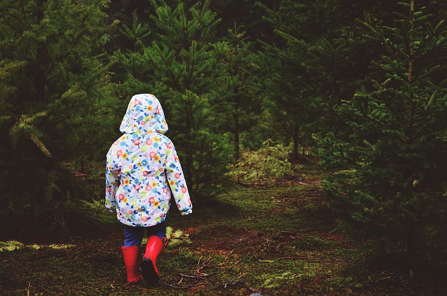 menina, andando, bosques, floresta, árvores, natureza, criança, pouco, verão, jovem