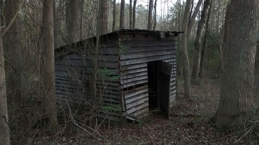 Shack, Creepy, Abandoned, Haunted, wooden, deserted, empty, architecture, spooky, built structure