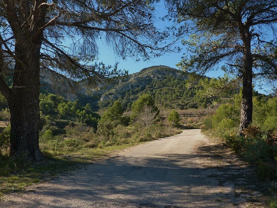 carretera, pista, españa, árboles, viaje, montaña, rural, paisaje,  naturaleza, luz solar | Pxfuel