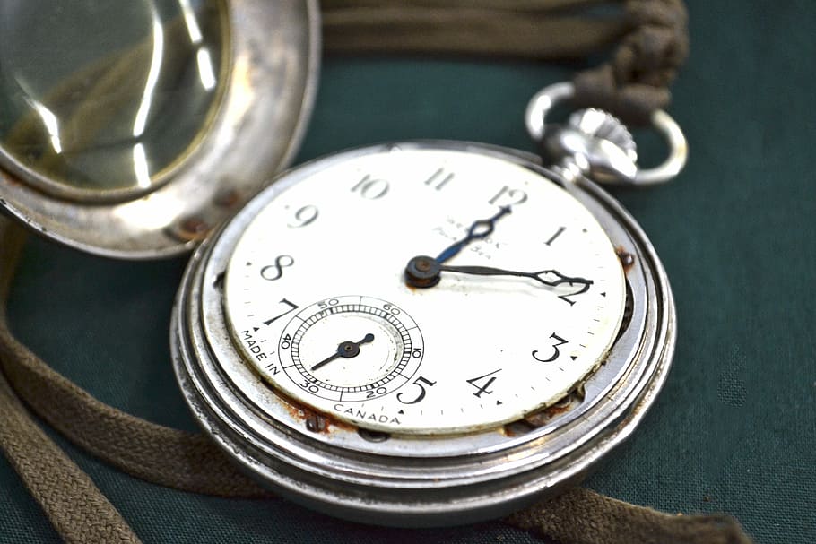 silver-colored pocket, 12:10, Watch, Time, Pocketwatch, White Rabbit, clock, alarm, stop, stopwatch