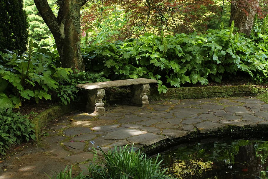 gray, concrete, bench, surrounded, trees, garden, secret, vintage, park, nature