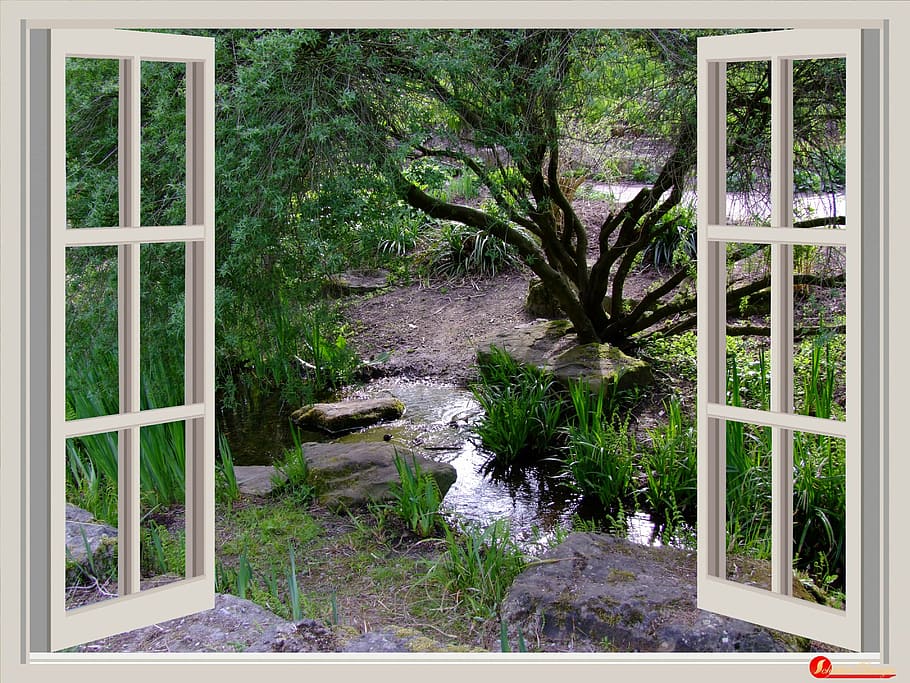 white wooden window, window, garden, window frames, outlook, bach, small stream, park, south park, düsseldorf