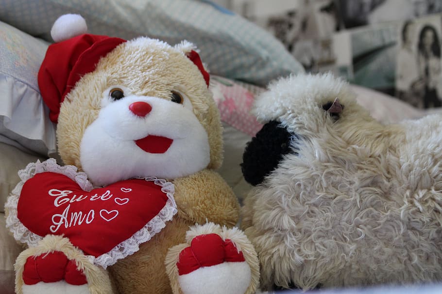 i love you, bear, sheep, toy, stuffed toy, teddy bear, animal representation, representation, childhood, close-up