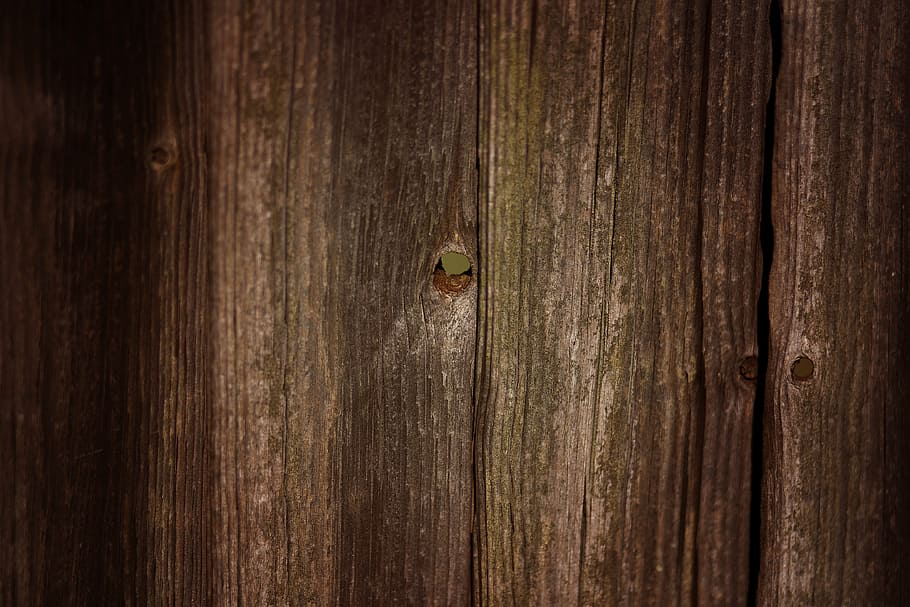 closeup, brown, wooden, wall, wood, fence, garden, security, property, yard