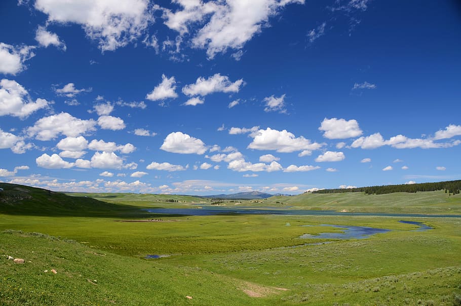 landscape photograph, green, grass field, hayden valley, yellowstone, valley, landscape, sky, blue, clouds