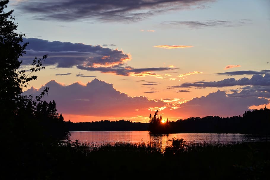 silhouette photo, tree, Sunset, Twilight, Lake, sky, lying, trees, colors, evening