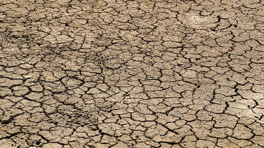 kurangnya hujan, musim kemarau, kering, kekeringan, gurun, dehidrasi, retak, haus, Tanah, bumi