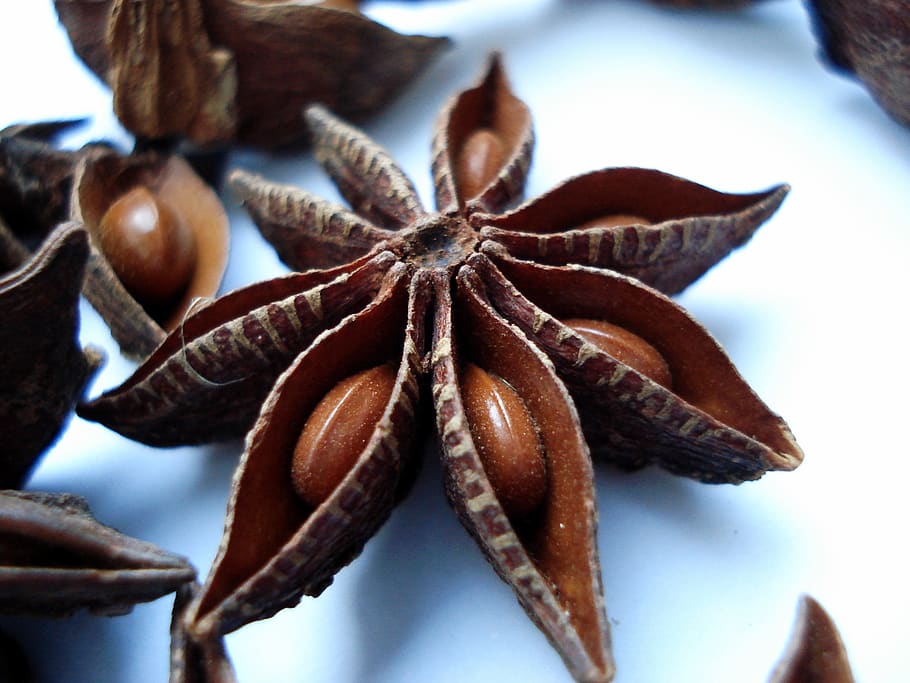badiyane, star anise, chinese star anise, food, food and drink, close-up, brown, still life, freshness, healthy eating