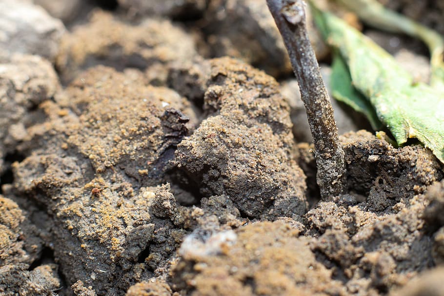 soil, earth, ground, nature, garden, mud, brown, agriculture, land, compost