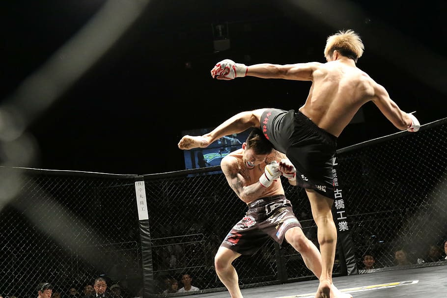 two, men, fighting, inside, octagon cage, mixed martial arts, sport, kick, shooto, ring