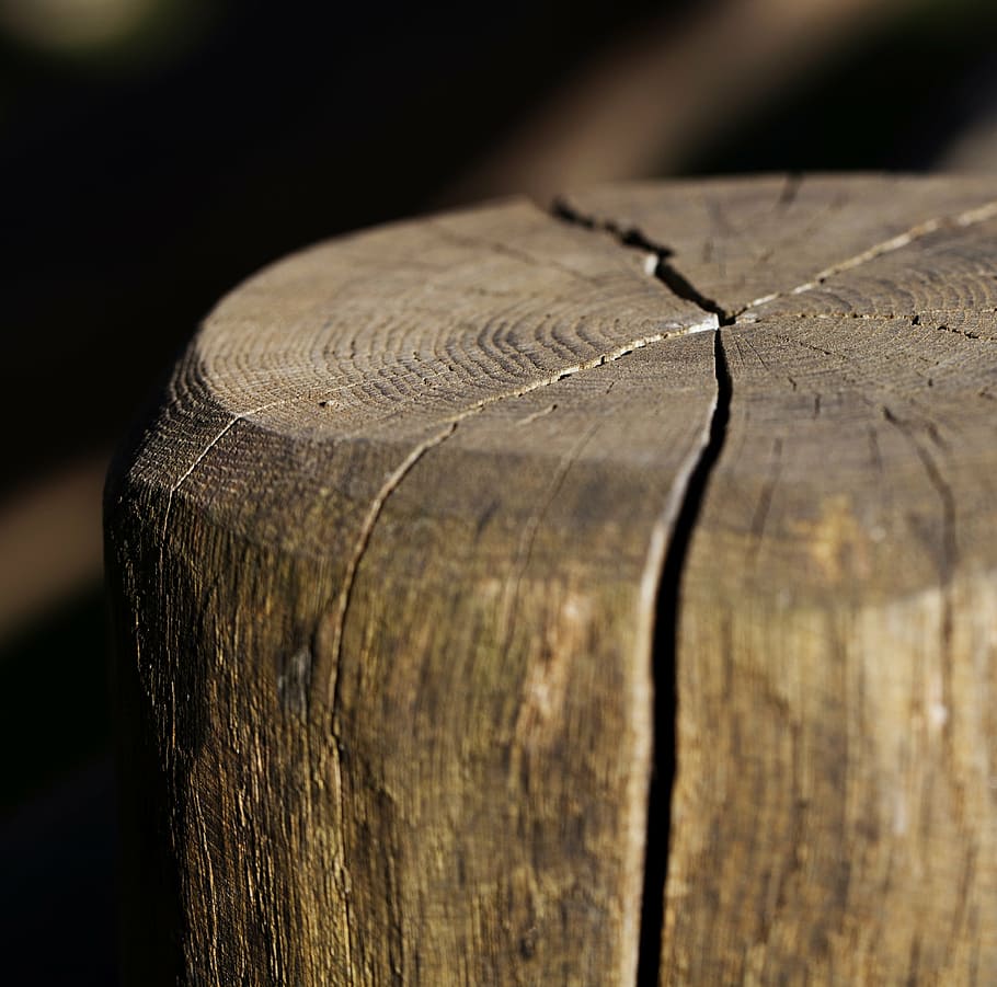 tunggul, batang kayu, pasak, kayu, retakan kayu, kayu - Bahan, latar belakang, alam, papan, tua