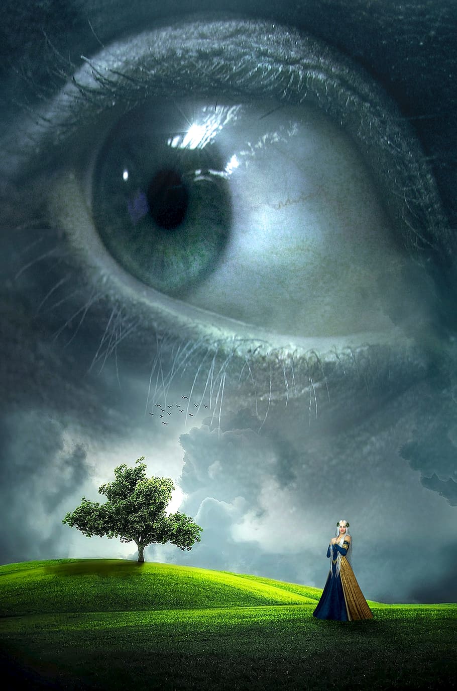 mujer, en pie, herboso, colina, fantasía, portada del libro, ojo, paisaje, árbol, prado