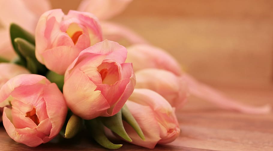 bouquet, pink, peony, tulips, tulipa, butterfly, butterfly pink, flowers, schnittblume, breeding tulip