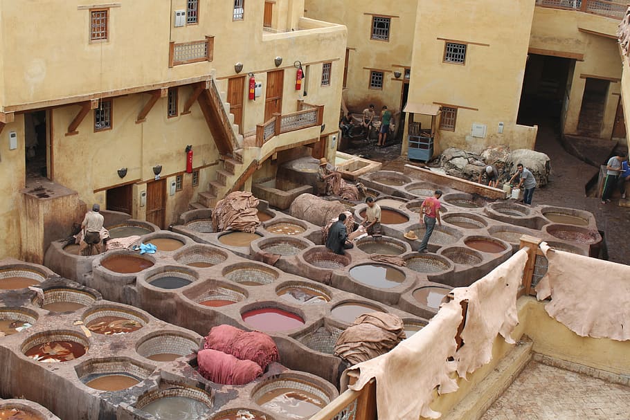 tannery, morocco, skins, architecture, built structure, building exterior, men, occupation, day, high angle view