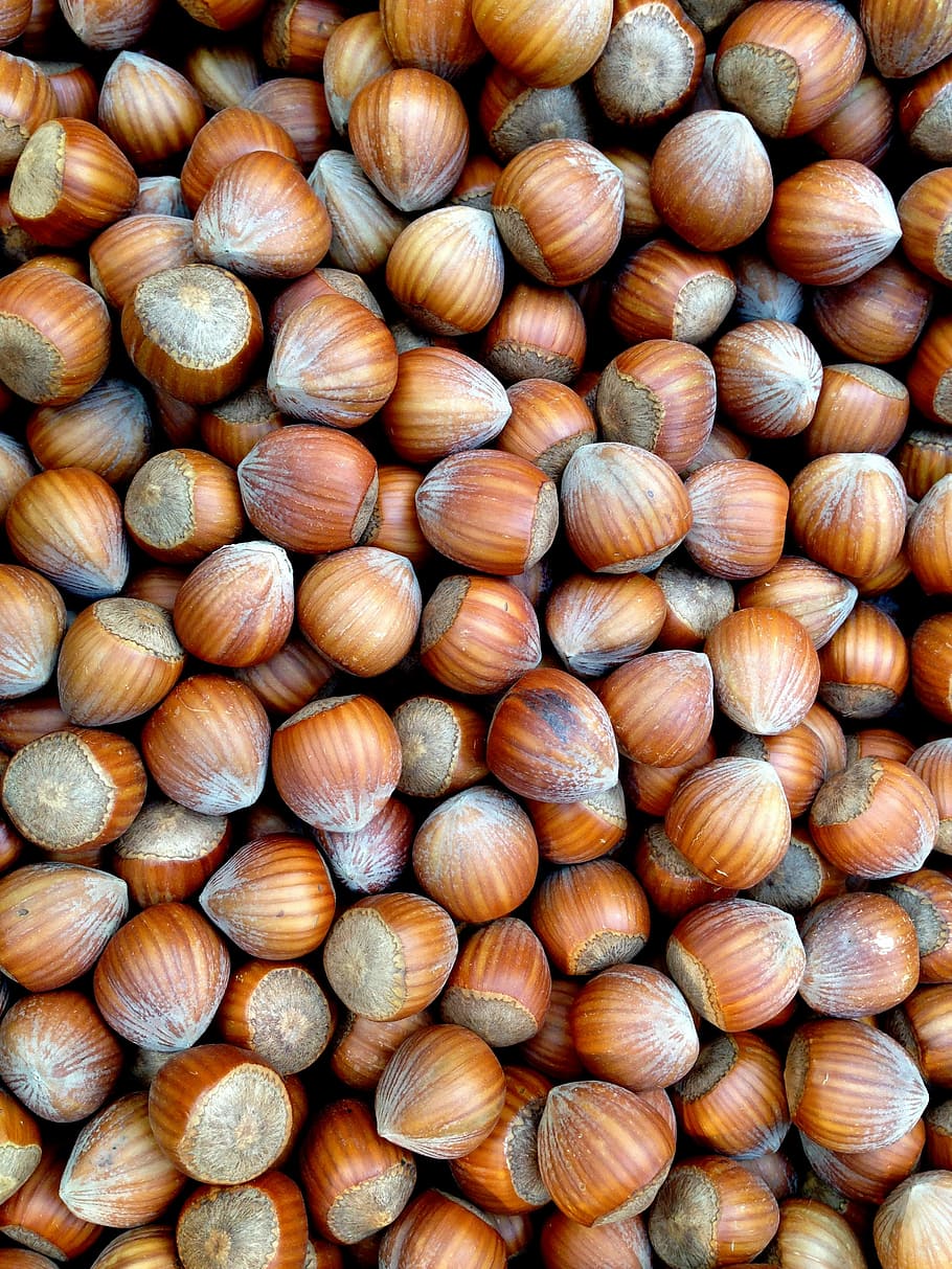 Hazelnuts, Nut, Nuts, Food, Brown, market, shell, autumn, nutshells, still life