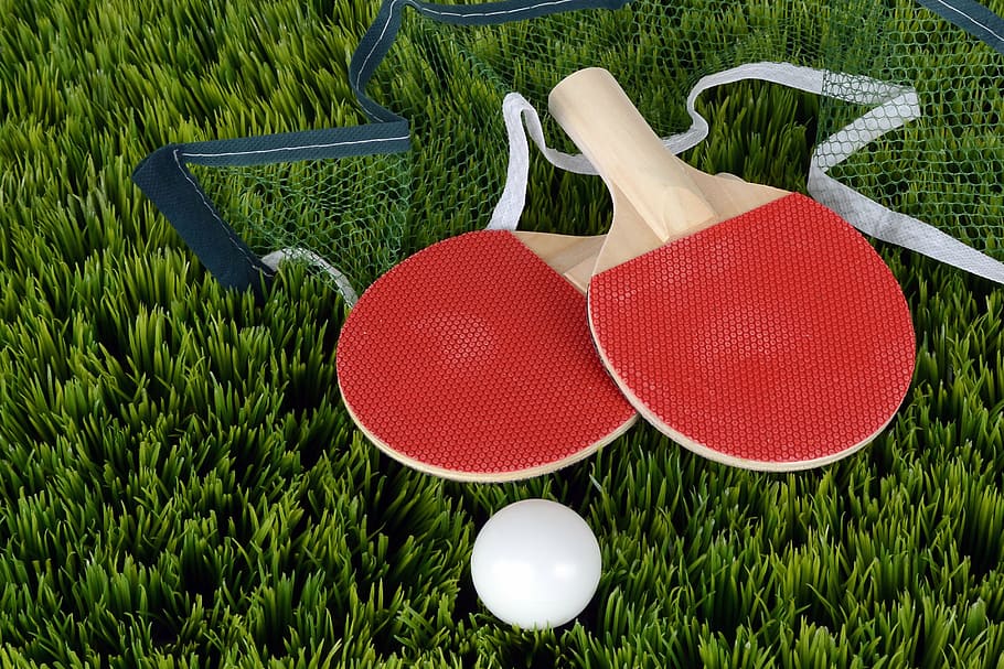 raquetes de ping pong vermelhas e marrons, bola, rede, verde, grama, tênis de mesa, ping pong, morcego, bastão de tênis de mesa, esporte