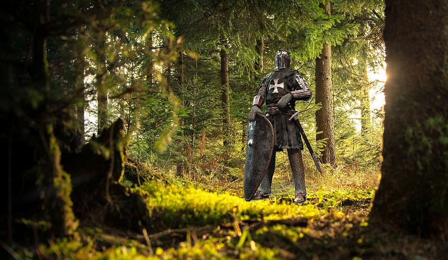 knight, standing, green, trees, digital, wallpaper, wood, nature, tree, outdoors