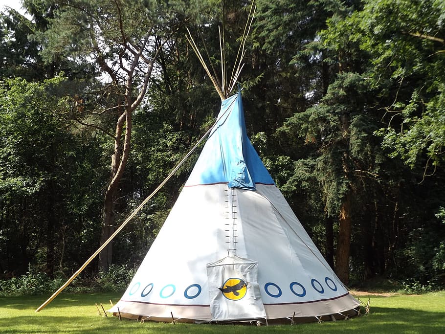 white, blue, teepee tent, green, trees, Tipi, Forest, Nature, Wild, Summer