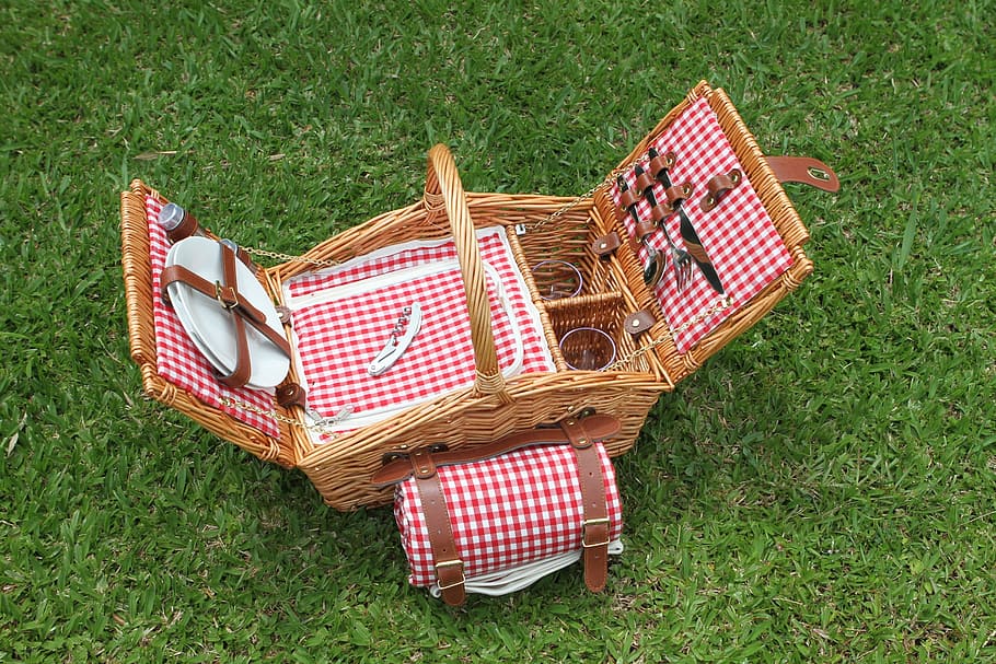 nature, picnic, basket, grass, field, plant, picnic basket, container, green color, high angle view