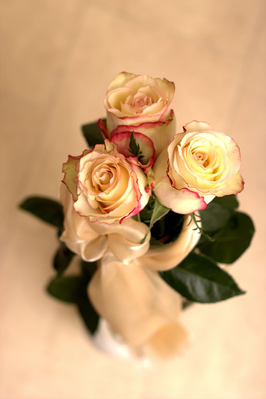 tres rosas amarillas, rosa, pétalos, ramo, ramo de novia, novia, tiempo,  cumpleaños, día de la mujer, navidad | Pxfuel