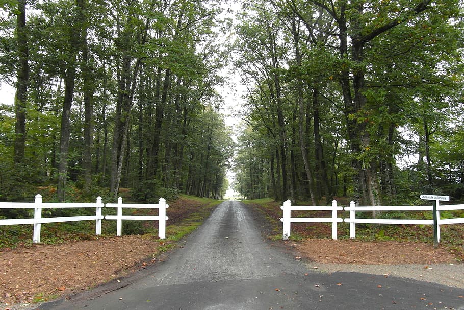 france, trees, road, driveway, fence, picket, summer, nature, outside, country