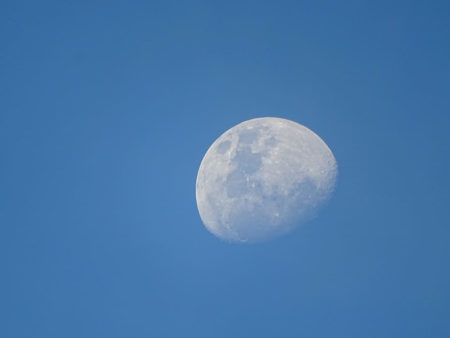 moon, blue sky, nature, clear sky, crescent moon, blue, sky, space, astronomy, night