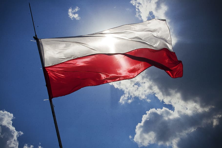 bendera polandia, tiang, siang hari, bendera, polandia, langit, biru, patriotisme, angin, lingkungan