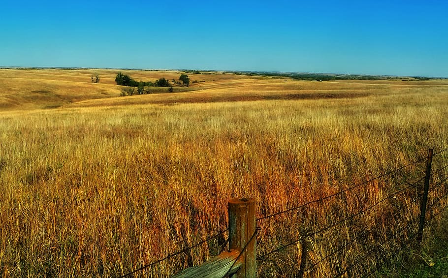 landscape photography, brown, grass field, sky, nebraska, prairie, plains, landscape, scenic, plants