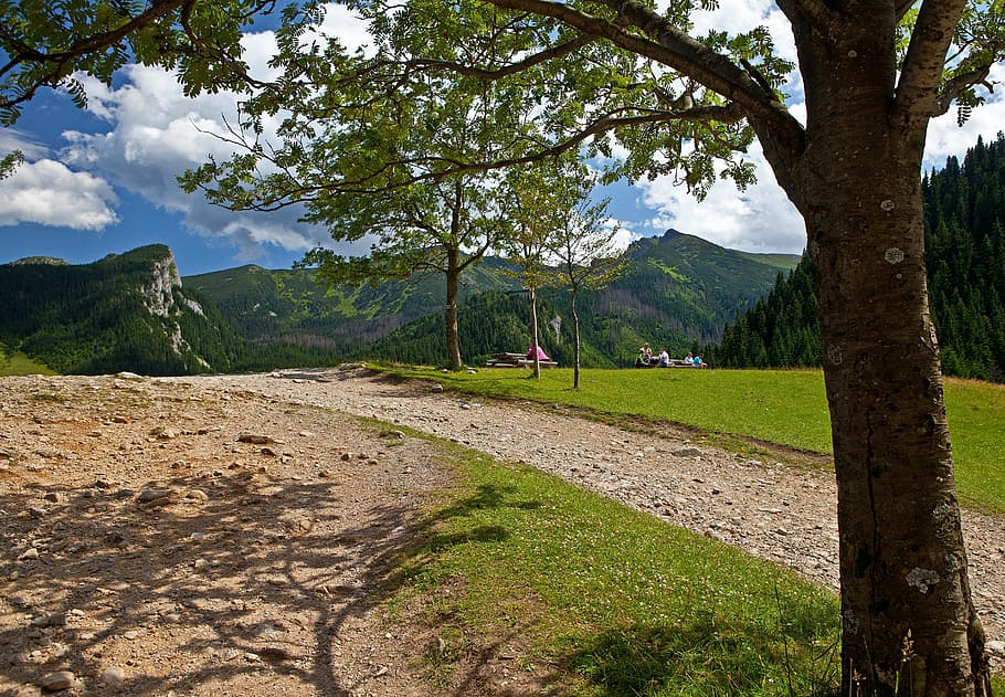 Tatry, paisaje, Polonia, montaña, cima, árbol, naturaleza, el parque nacional, senderismo, verano