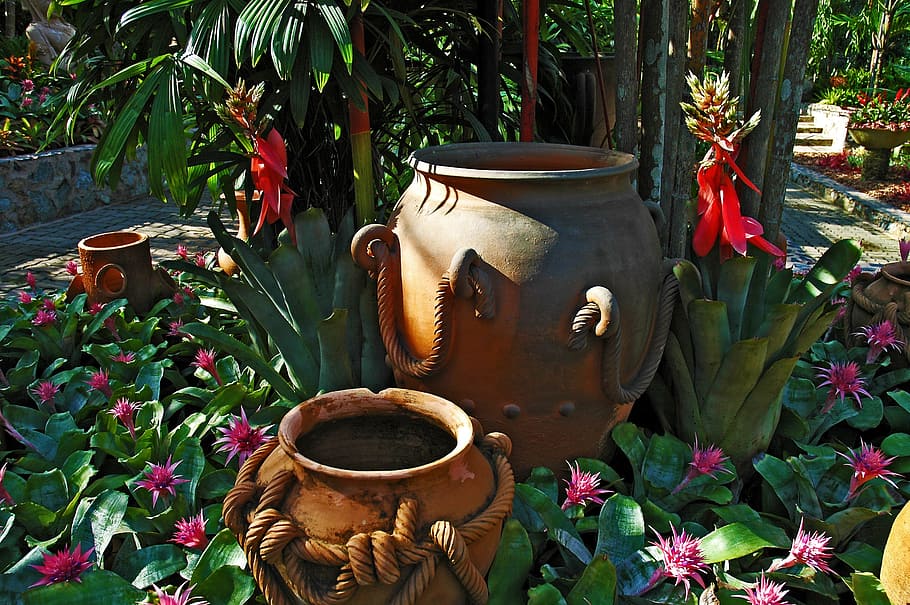 Flower Bed, Clay, Pots, Thailand, clay pots, park, flower, day, outdoors, plant